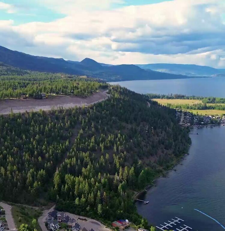 Aerial view of LaCasa Lakeside Resort marina at sunset
